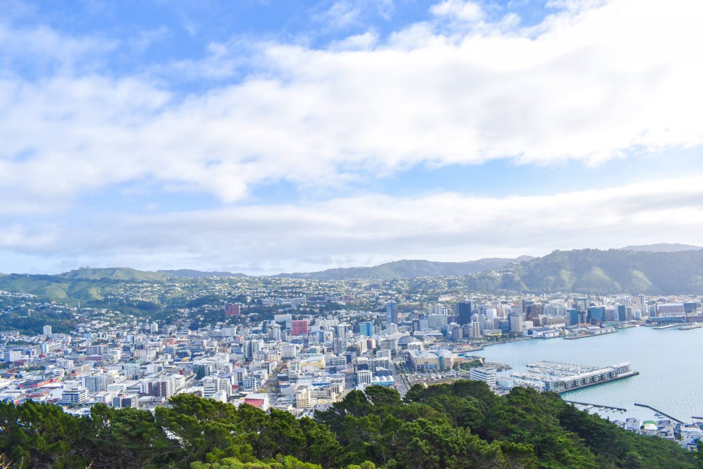 Mount Victoria, New Zealand