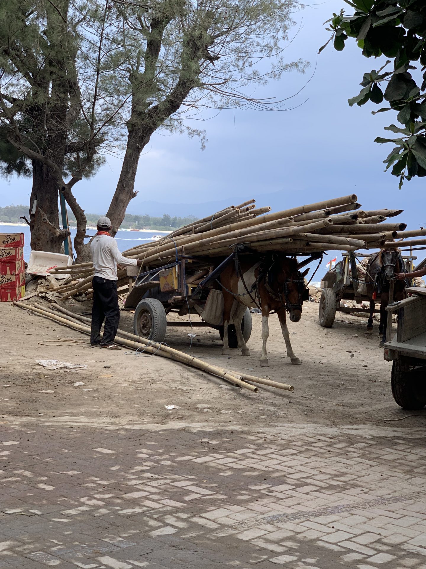 why you should never use horse and carriages on Gili T