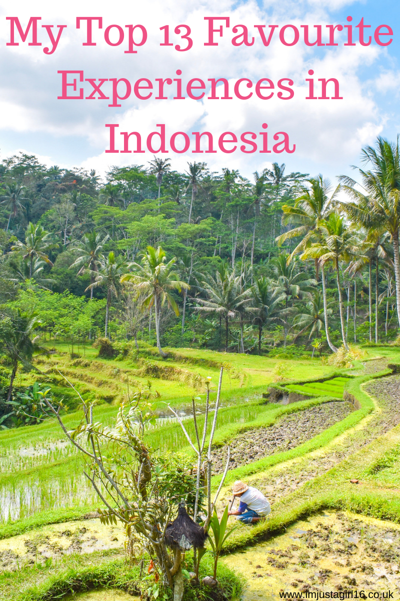 my favourite experiences in Indonesia