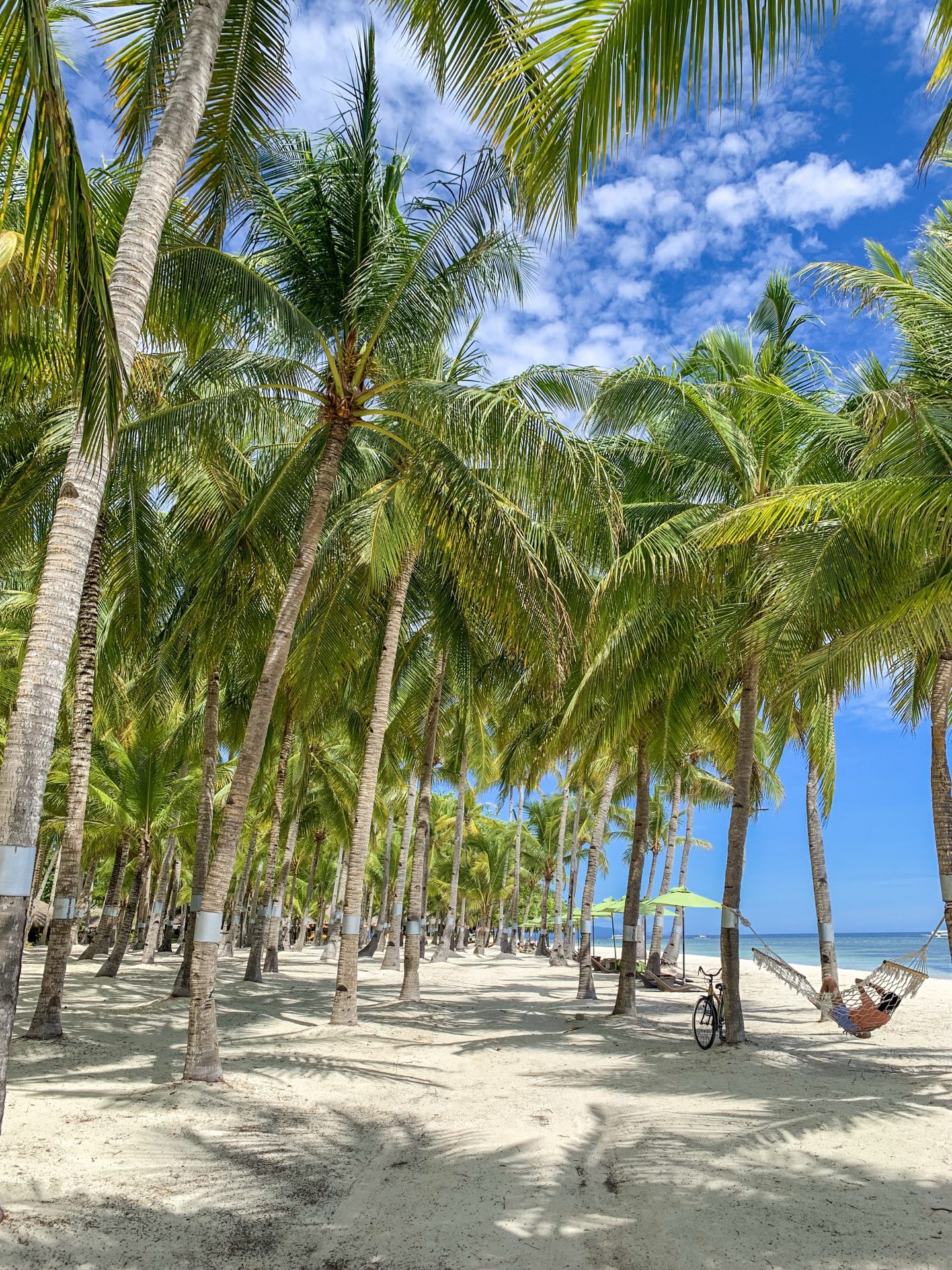 Panglao Bohol Philippines 1 month Philippines itinerary