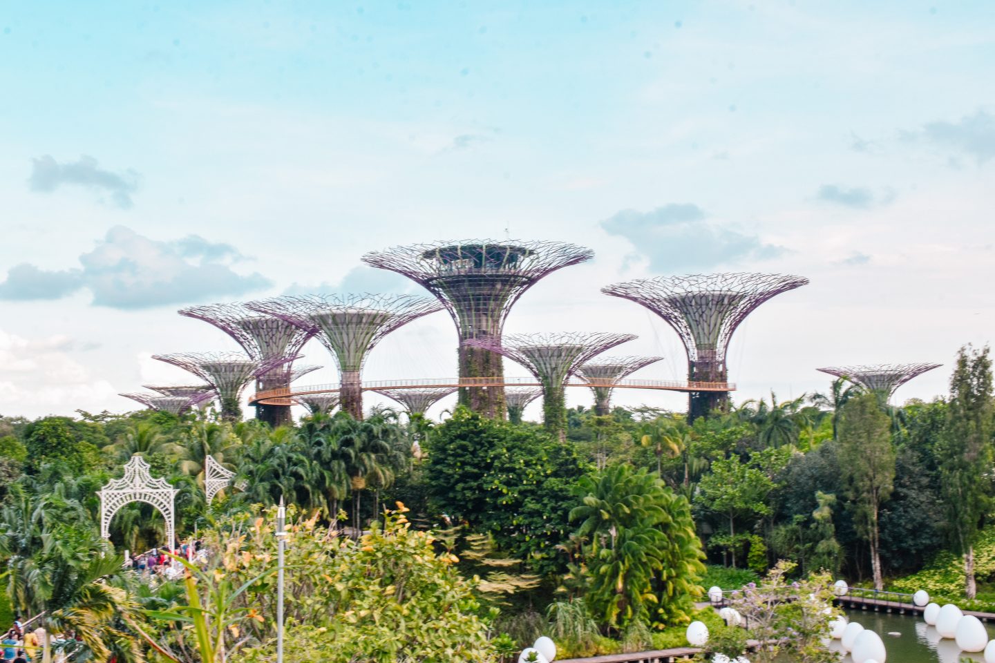 Supertree Grove Gardens by the Bay Singapore