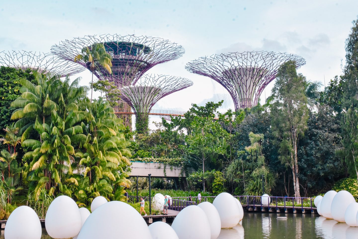 Gardens by the Bay Singapore