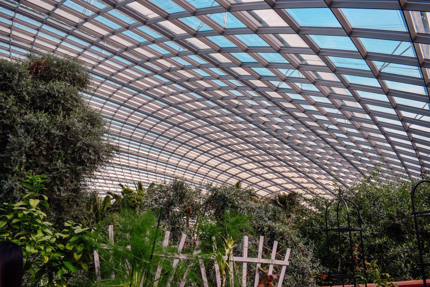 Gardens by the Bay Flower Dome Singapore