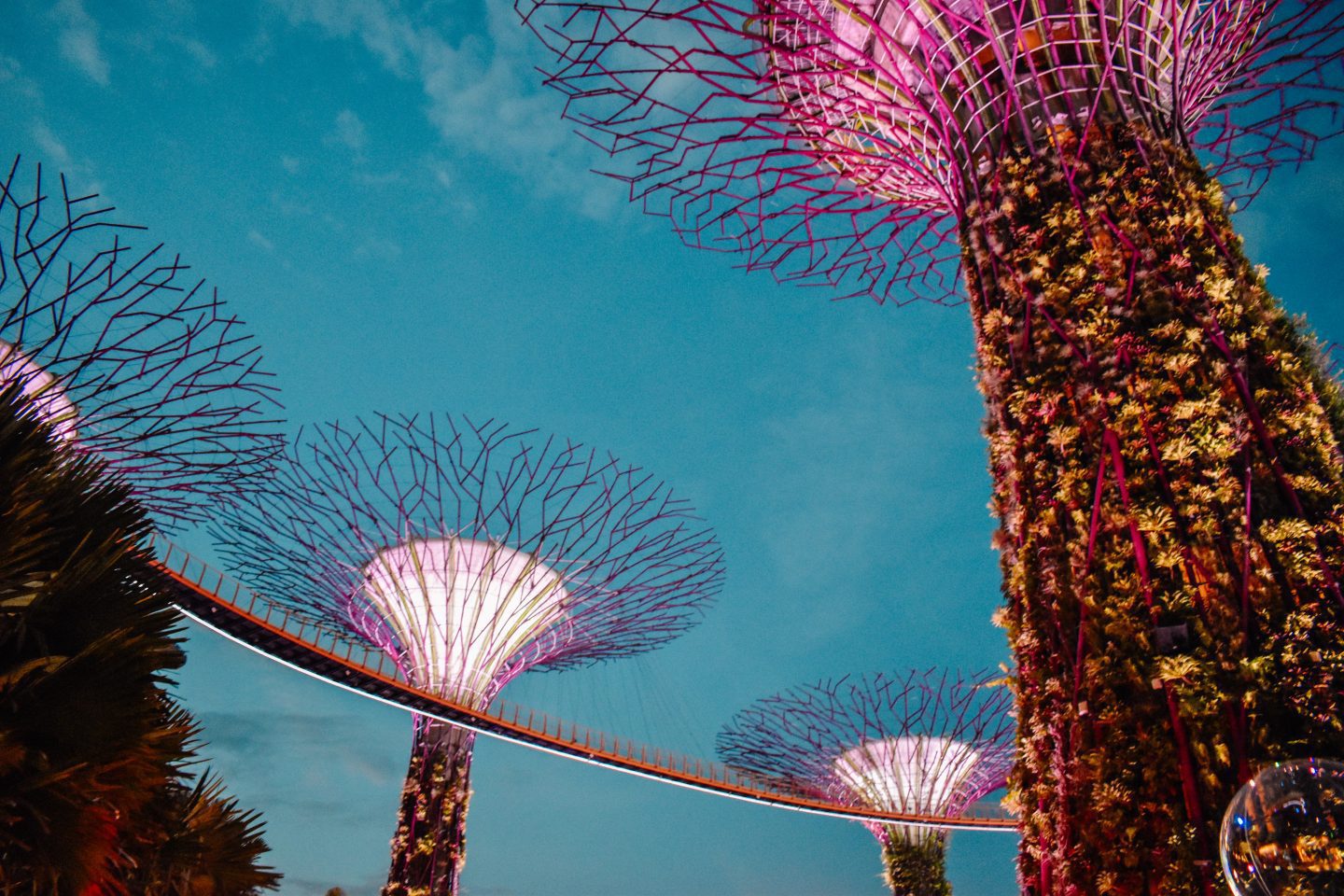 OCBC Skyway Gardens by the Bay Singapore