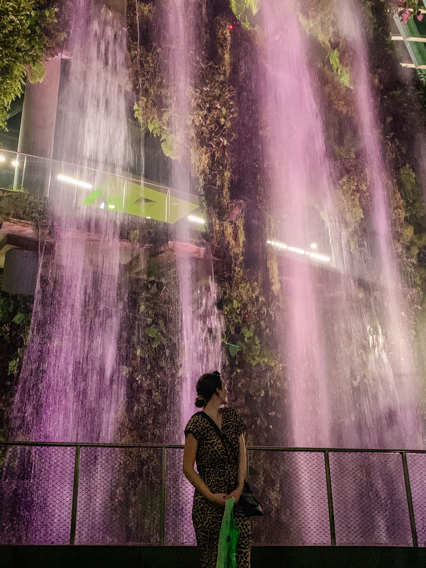 Cloud Forest Singapore