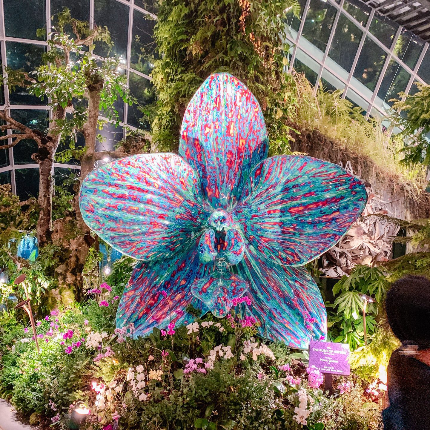Cloud Forest Singapore
