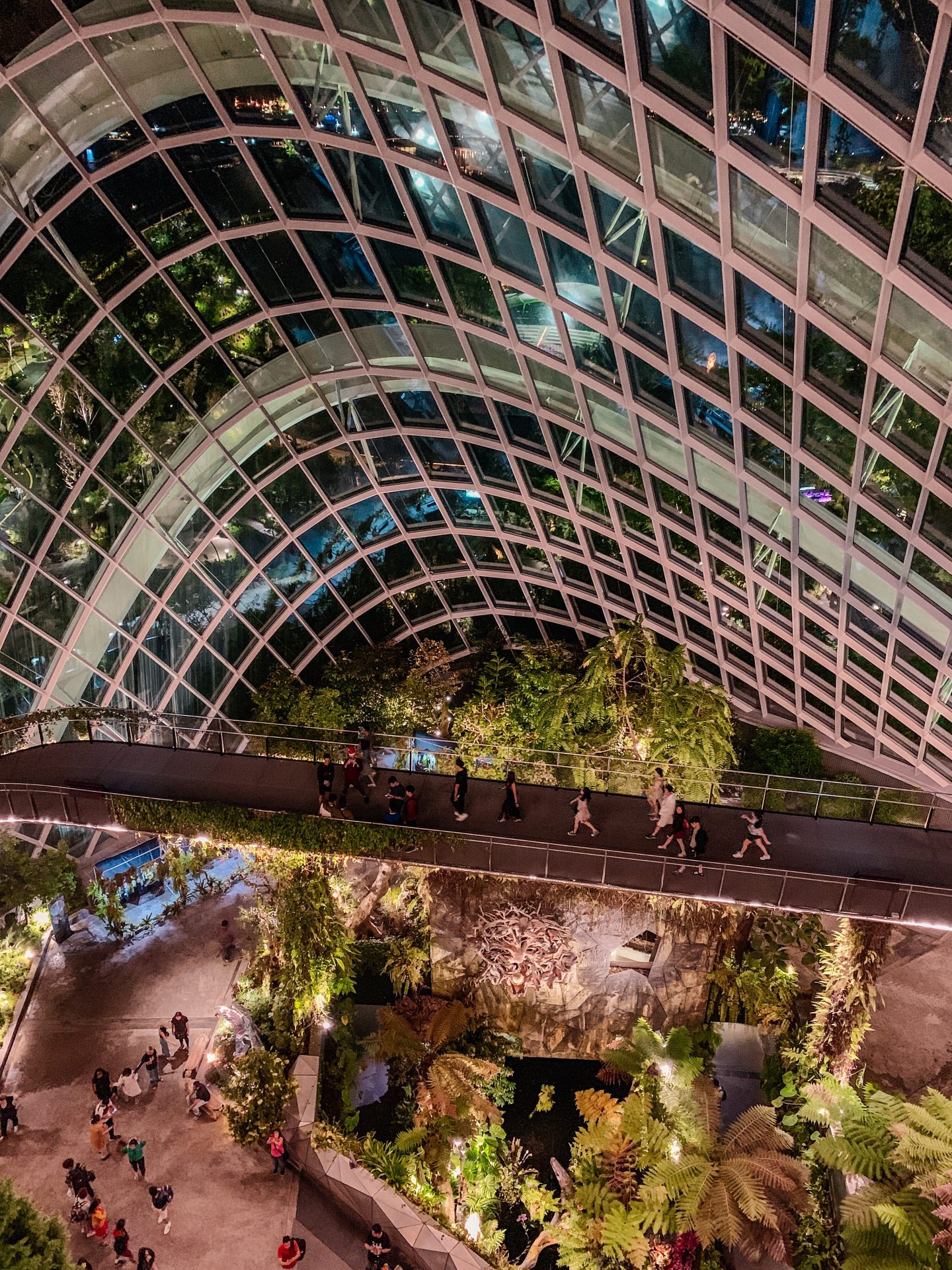 Cloud Forest Singapore