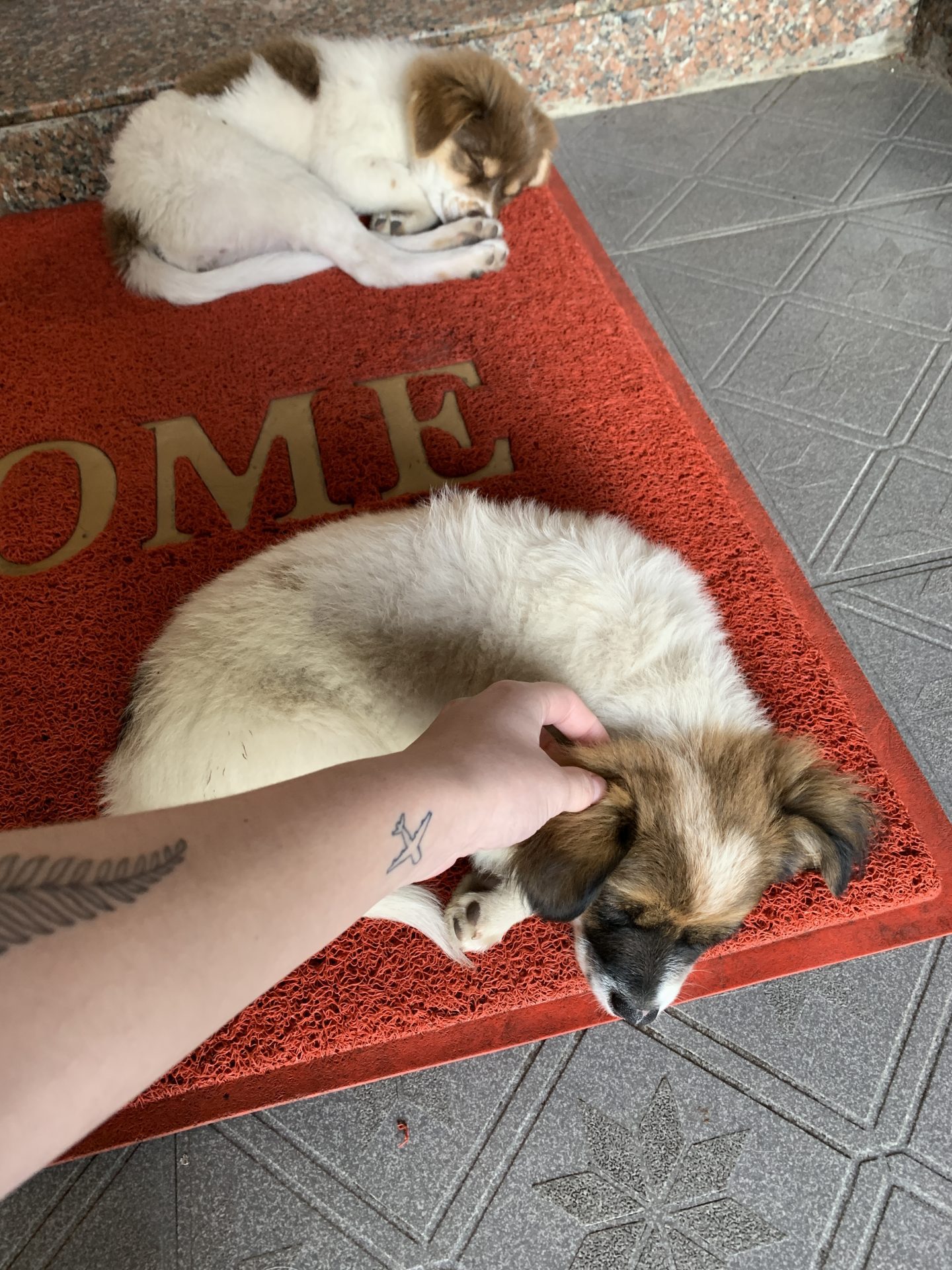 Where to stay in Da Lat