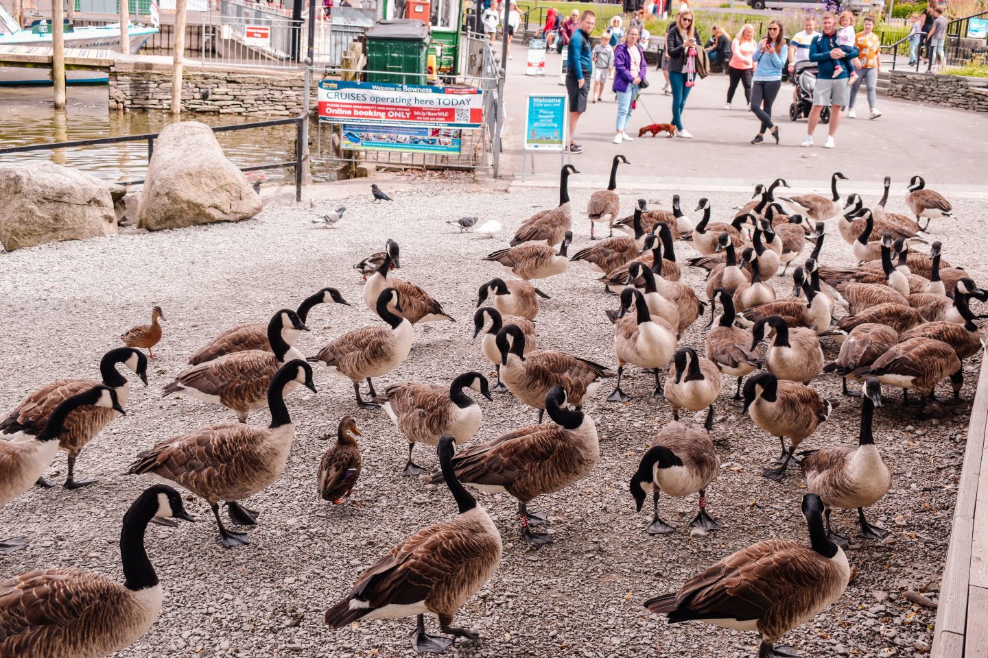 Bowness-on-Windermere travel guide