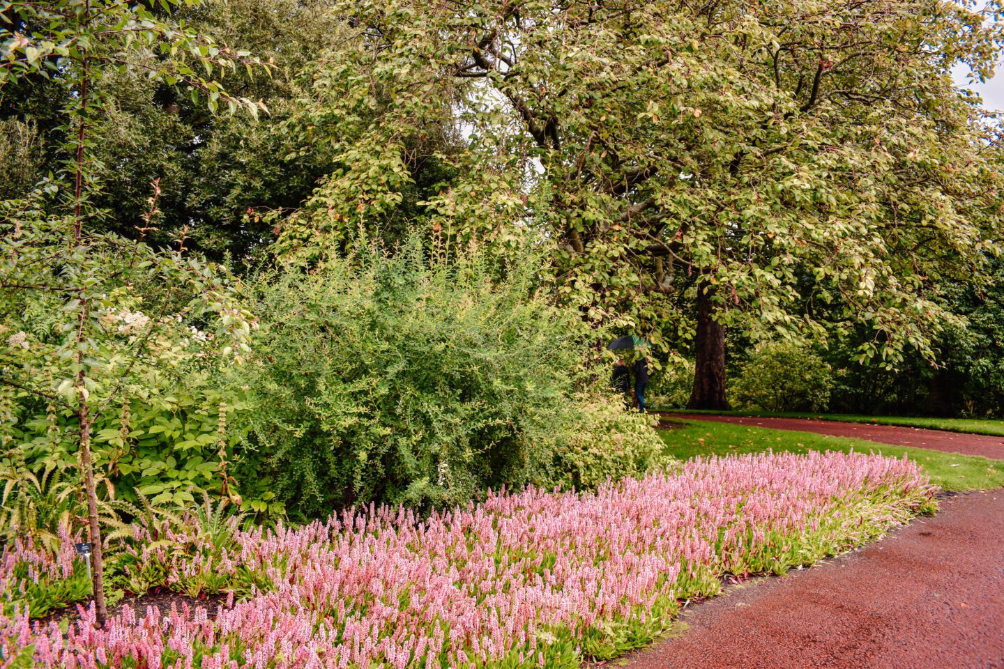 royal botanic gardens Edinburgh
