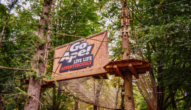 Go Ape Temple Newsam Leeds