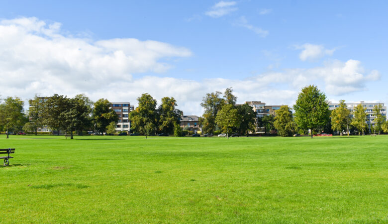 things to do in Harrogate