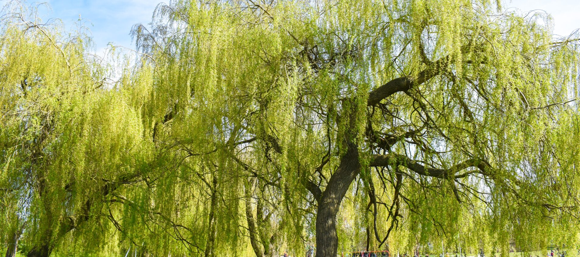 best free date ideas