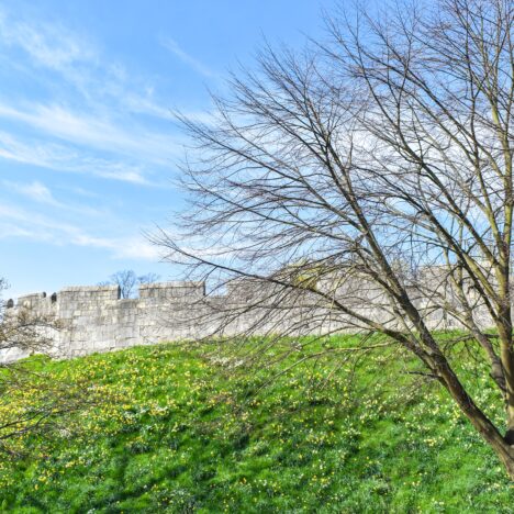 36 Best Free Date Ideas For UK Couples