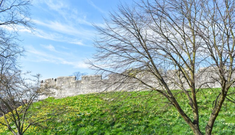 best things to do in York with kids