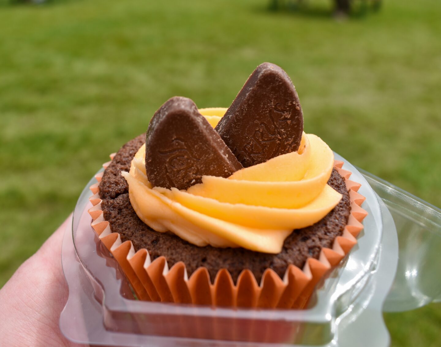 Harewood House food festival