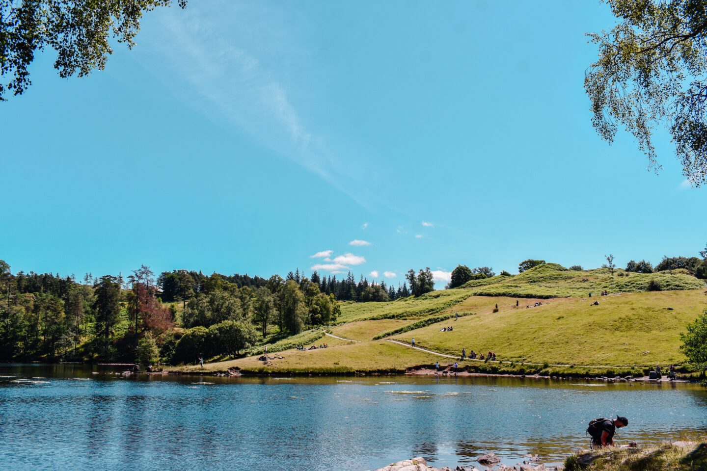Tarn Hows Circular Walk