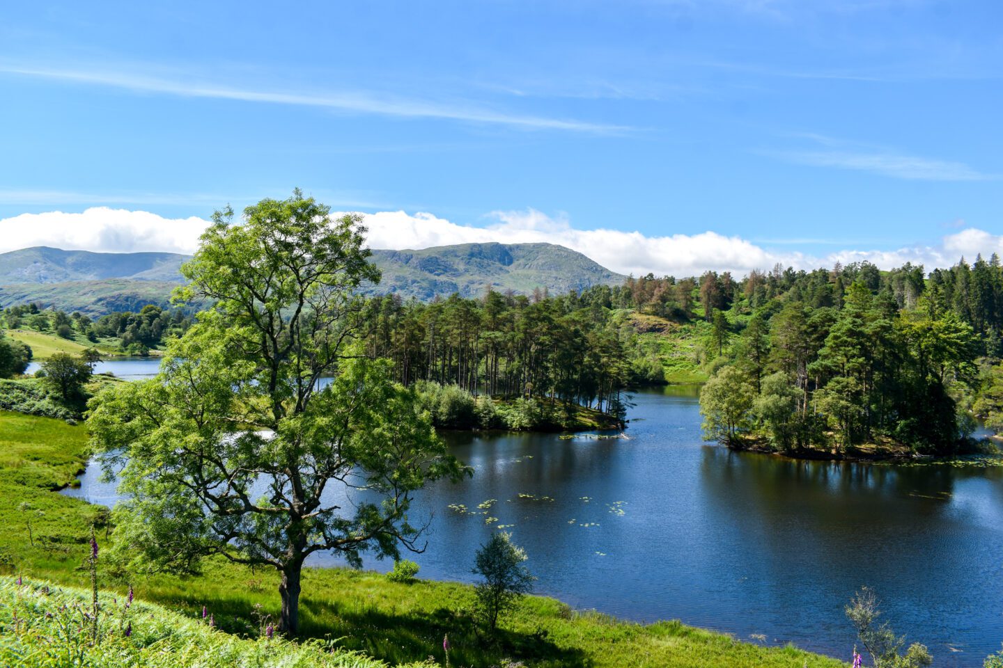 Tarn Hows Circular Walk