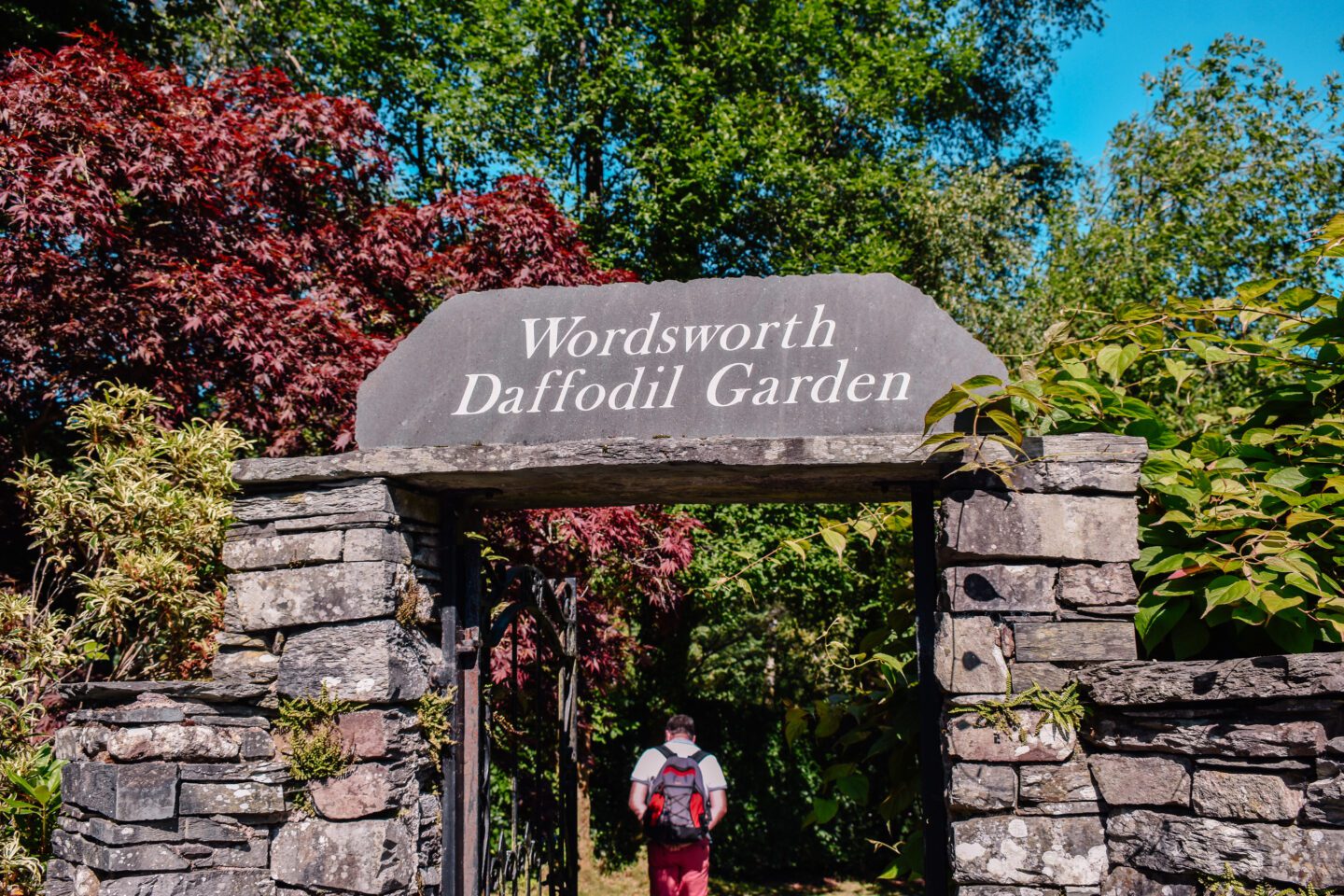 Wordsworth Daffodil Garden
