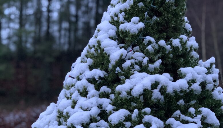 romantic date ideas for winter