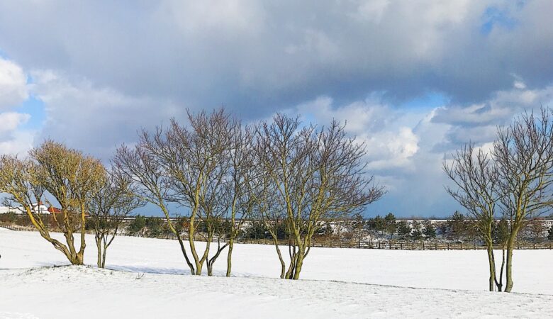Winter Holiday Packing List Essentials – What You Need To Pack