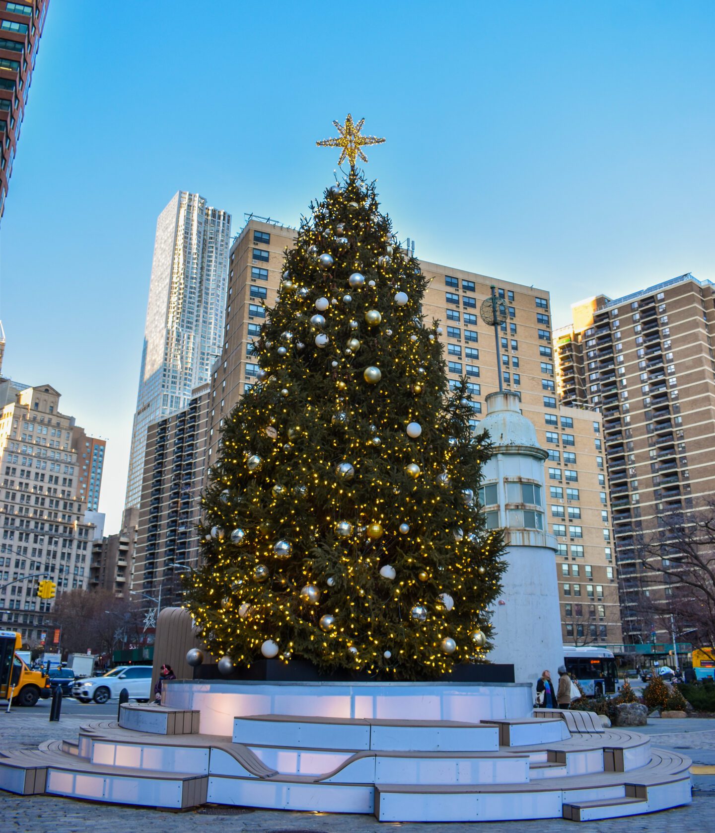 best christmas tress in NYC