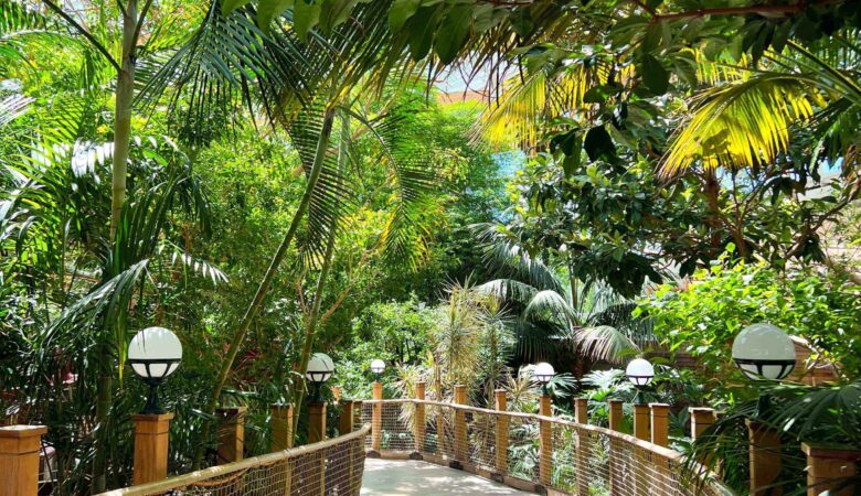 Center Parcs Whinfell Forest - Everything You Need To Know