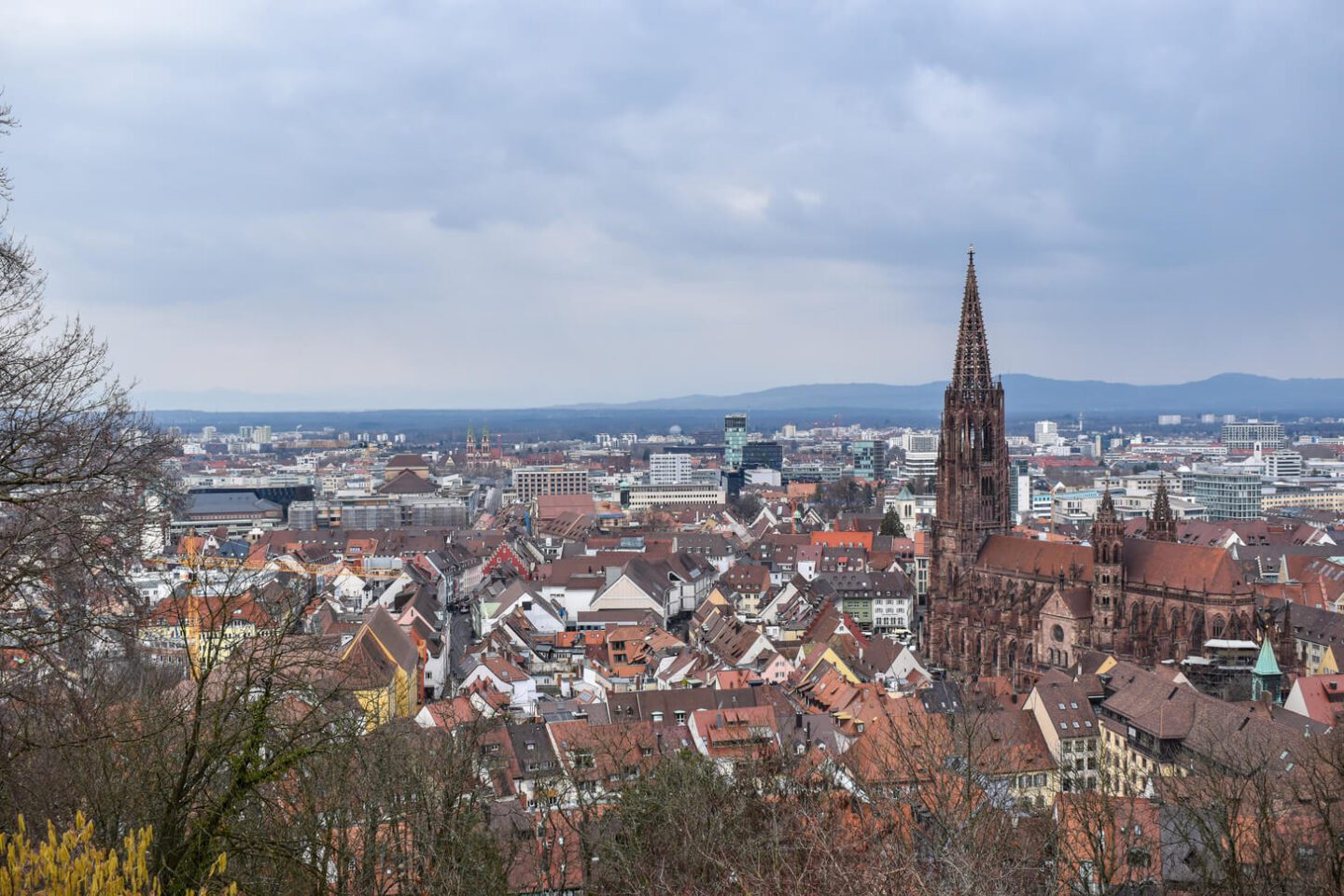 Kanonenplatz - one day in Freiburg itinerary