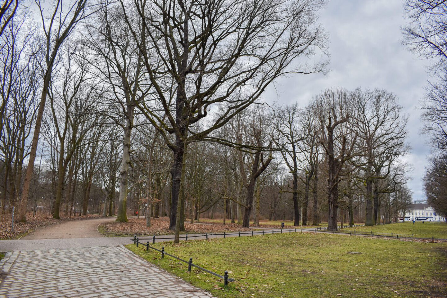 Tiergarten - 2 days in Berlin