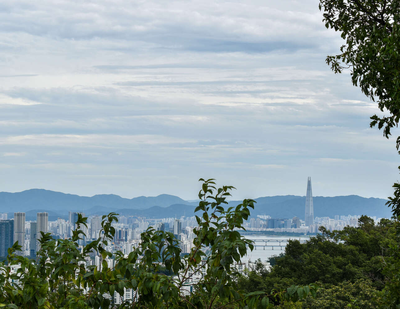 Seoul Sky vs Namsan Tower - which tower is best to visit in Seoul?