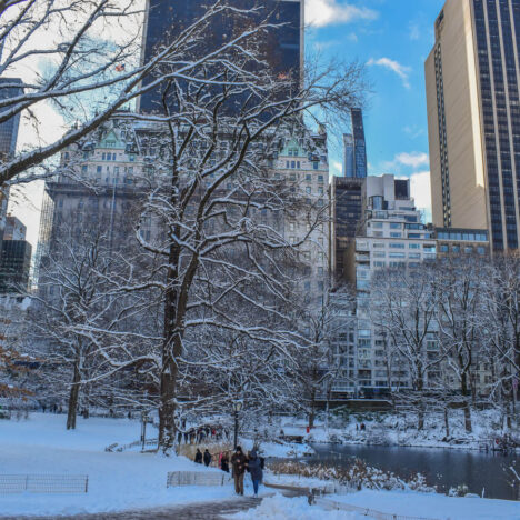 The Best New York Black Friday Travel Deals 2025