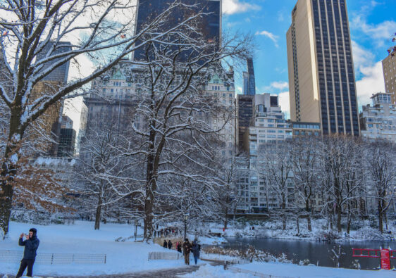 Best Ice Rinks In NYC - Where To Go Ice Skating In New York