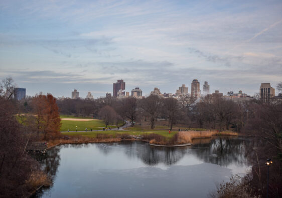 Best Pedicab Tours In Central Park NYC