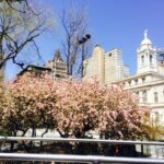 NYC Events August