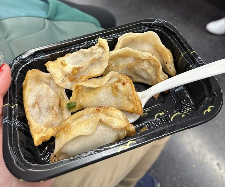 North Dumpling - best cheap eats in NYC