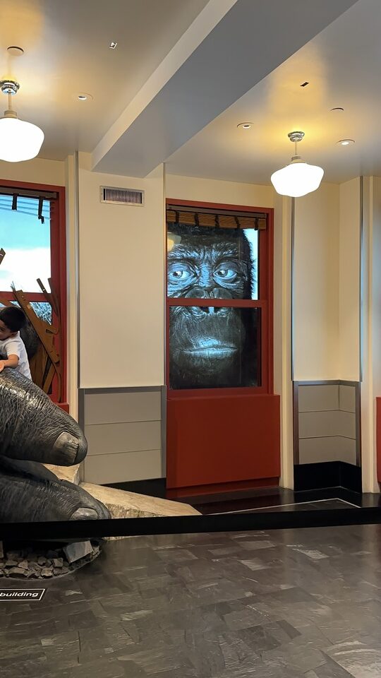 Exhibits at ESB