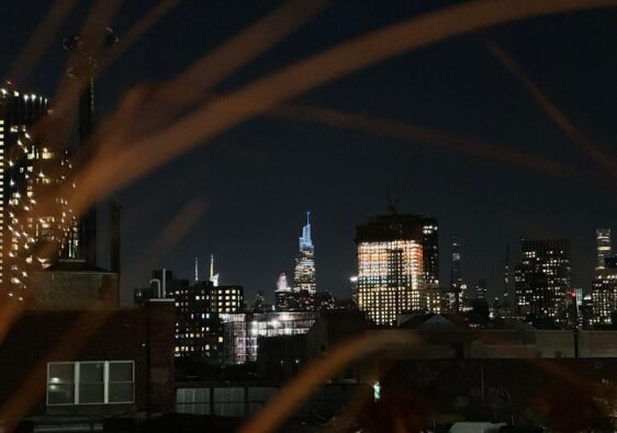 What views can you enjoy from Berry Park rooftop bar?