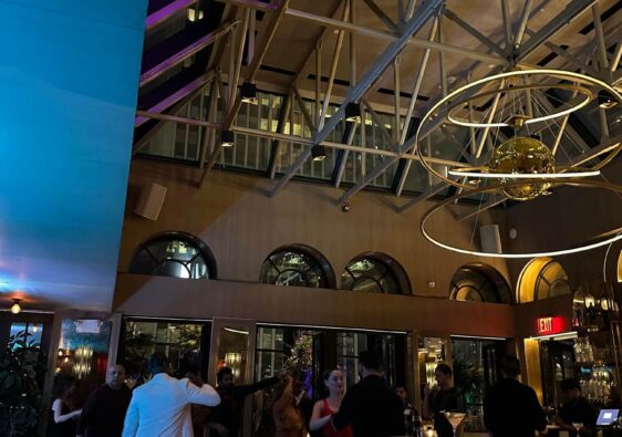 Elsie Rooftop Bar NYC review