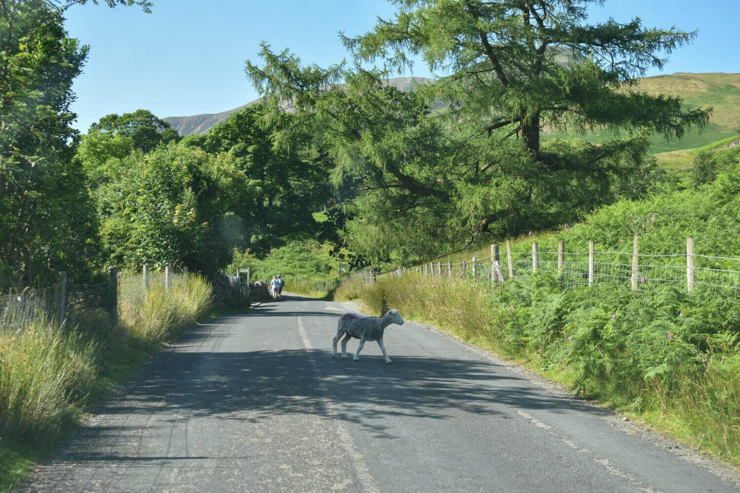 Lancashire
