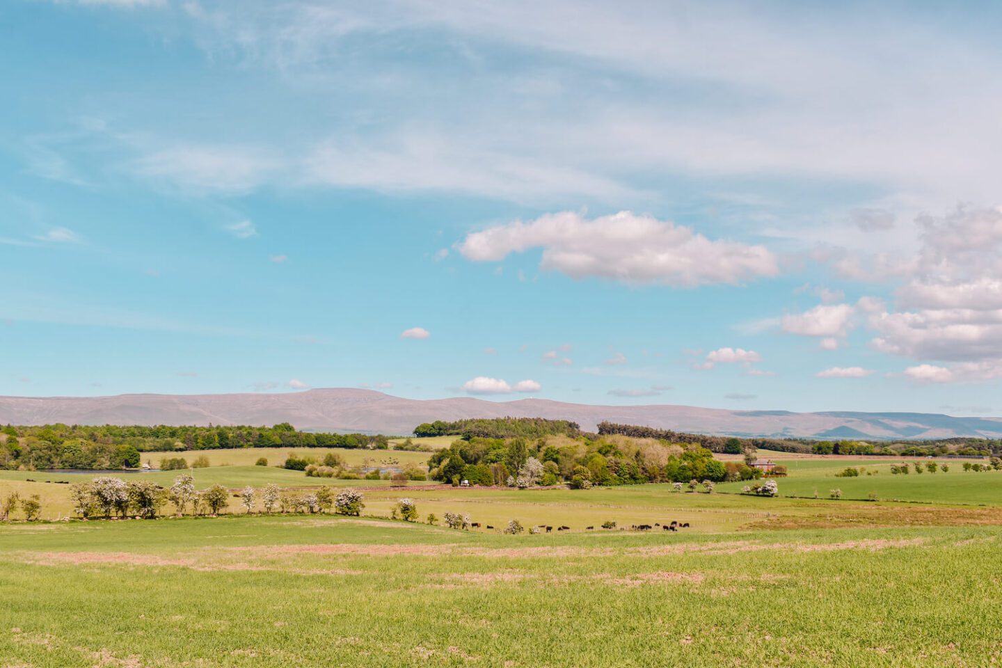 Peak District